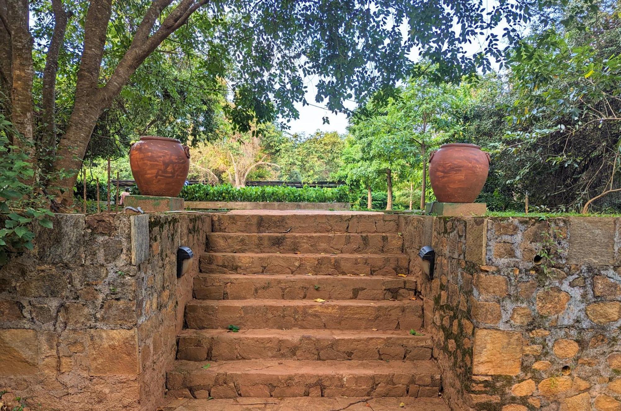 Pinthaliya Resort Sigiriya Exteriér fotografie