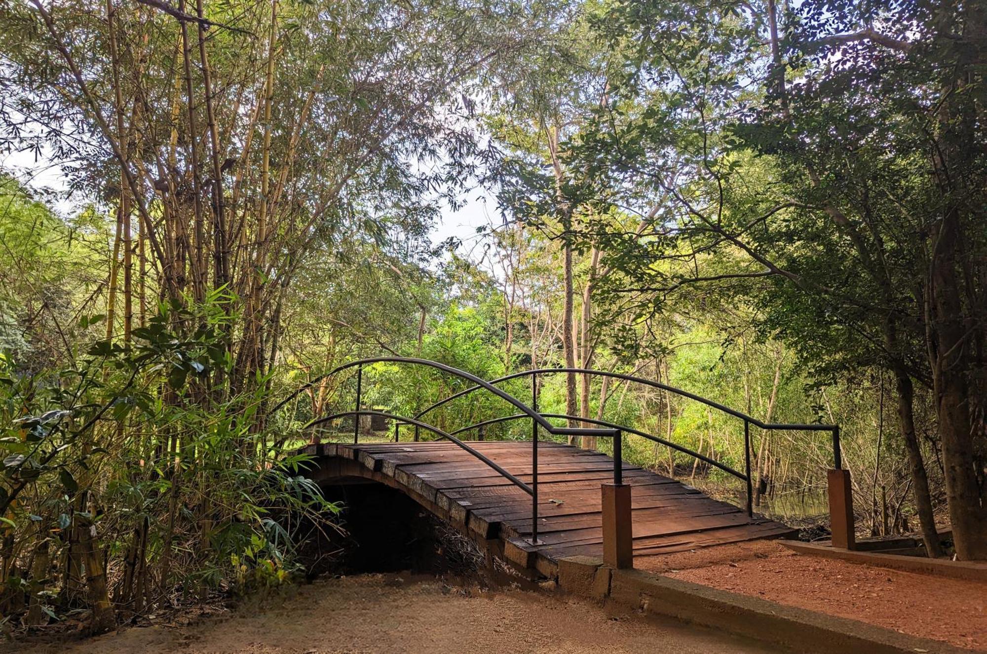 Pinthaliya Resort Sigiriya Exteriér fotografie