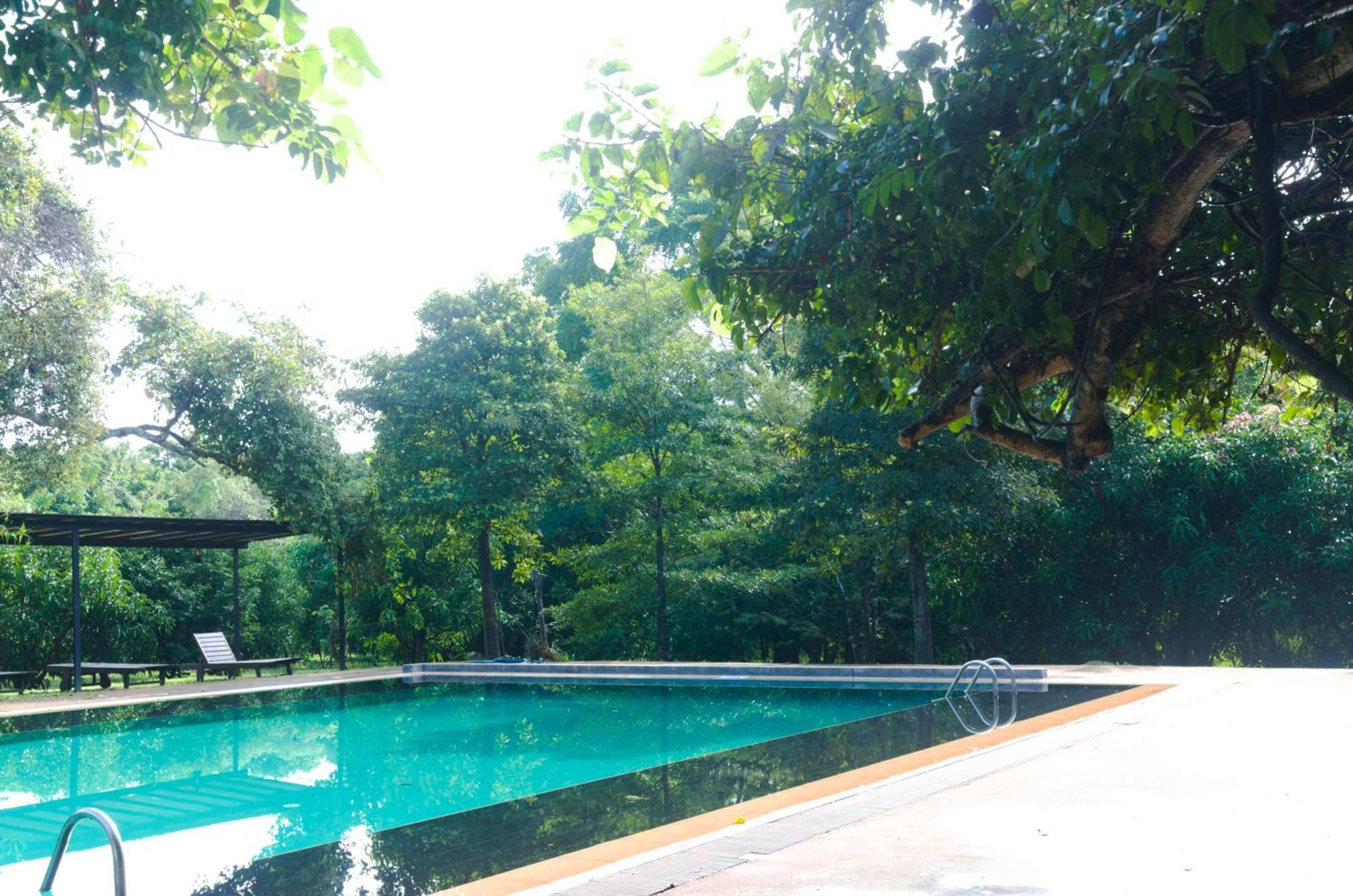 Pinthaliya Resort Sigiriya Exteriér fotografie