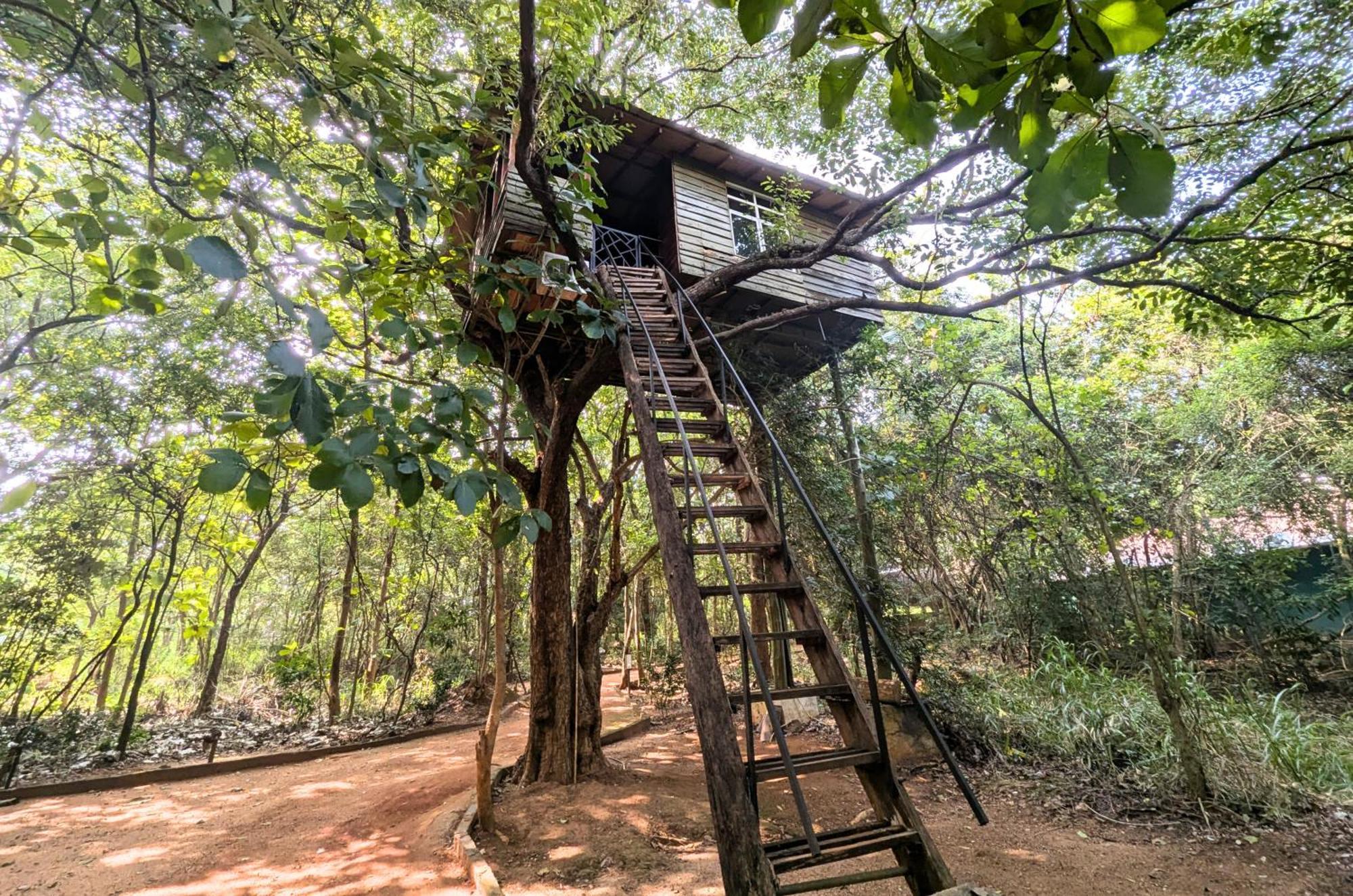 Pinthaliya Resort Sigiriya Exteriér fotografie