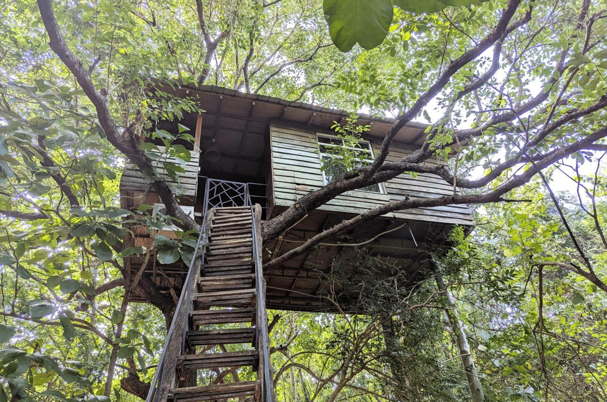 Pinthaliya Resort Sigiriya Exteriér fotografie